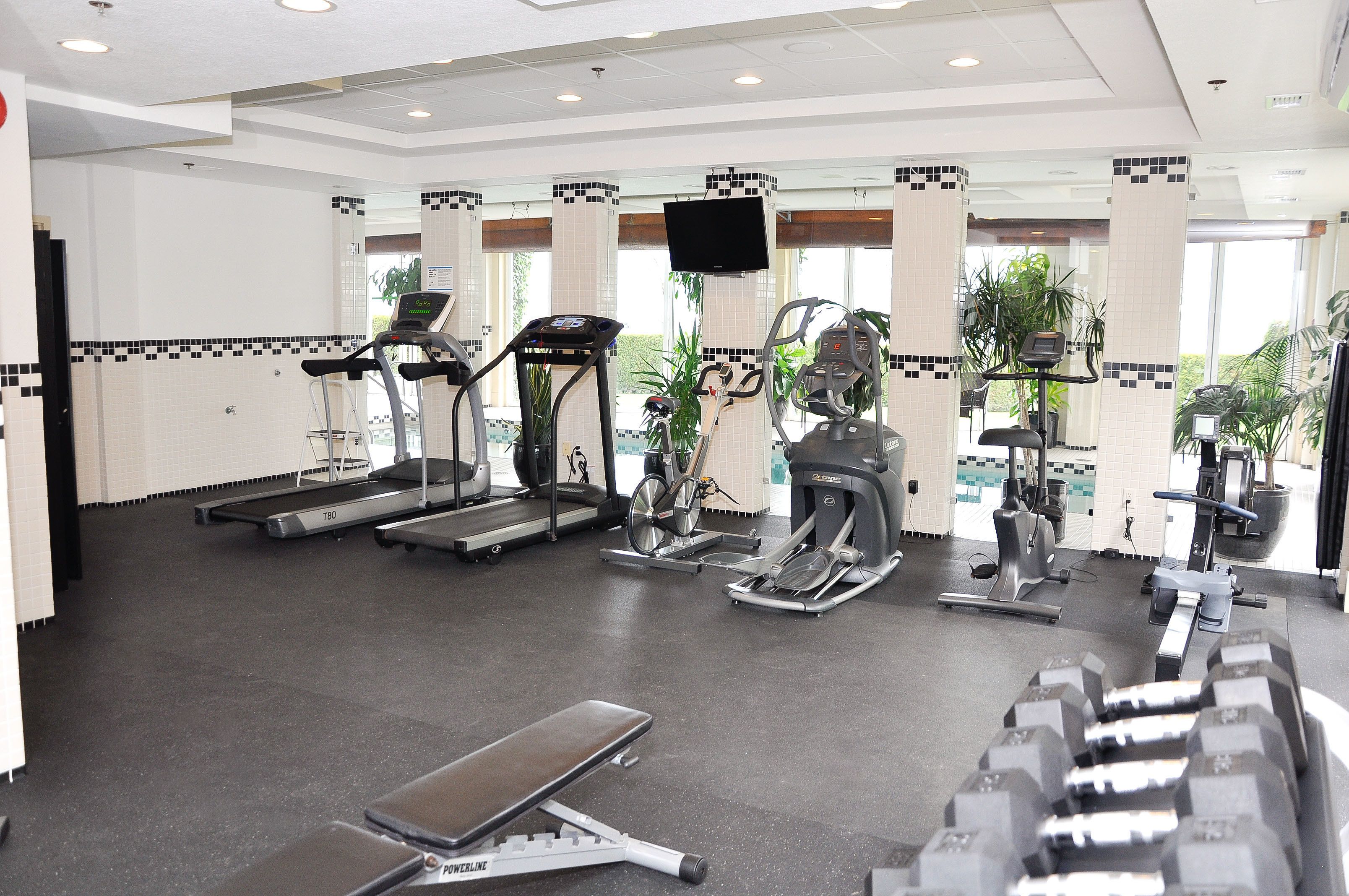 A gym with treadmills, elliptical machines, and free weights.
