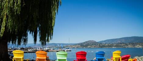 Una hilera de sillas Adirondack de colores que dan a un cuerpo de agua con barcos y un puerto deportivo al fondo.