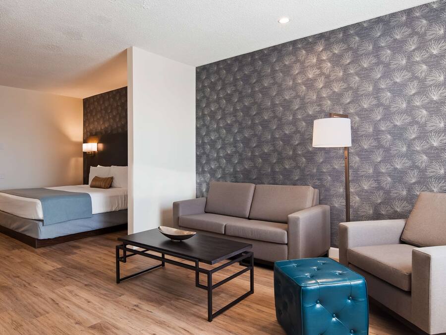 Une chambre d’hôtel moderne équipée d’un canapé-lit, d’un canapé séparé, d’une table basse et d’une lampe.