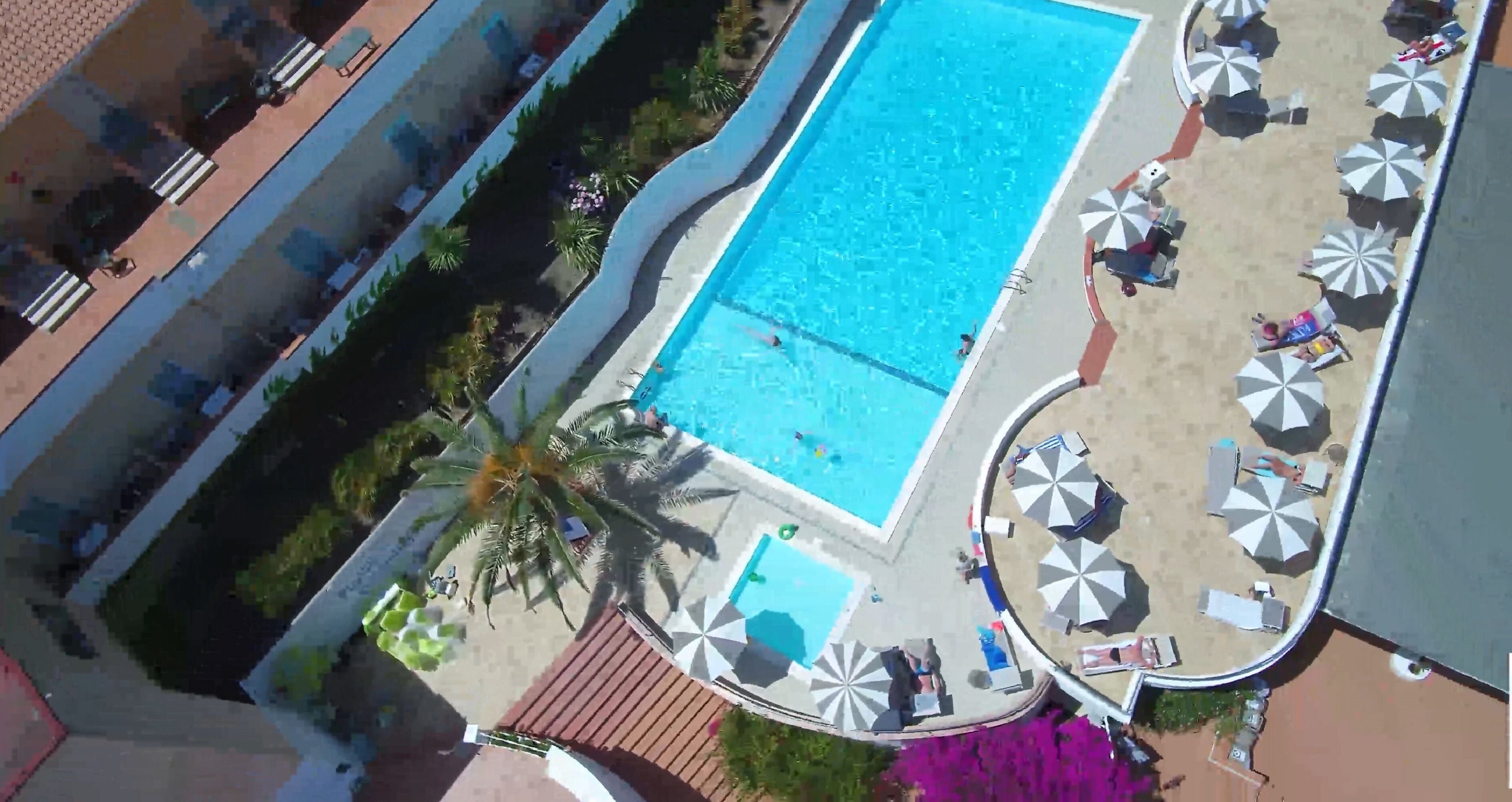 Un espace piscine doté d’une piscine rectangulaire, entourée de chaises longues et de parasols, ainsi que de palmiers.