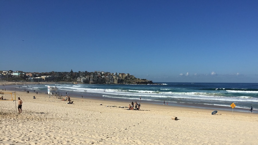 Ultimate Apartments Bondi Beach