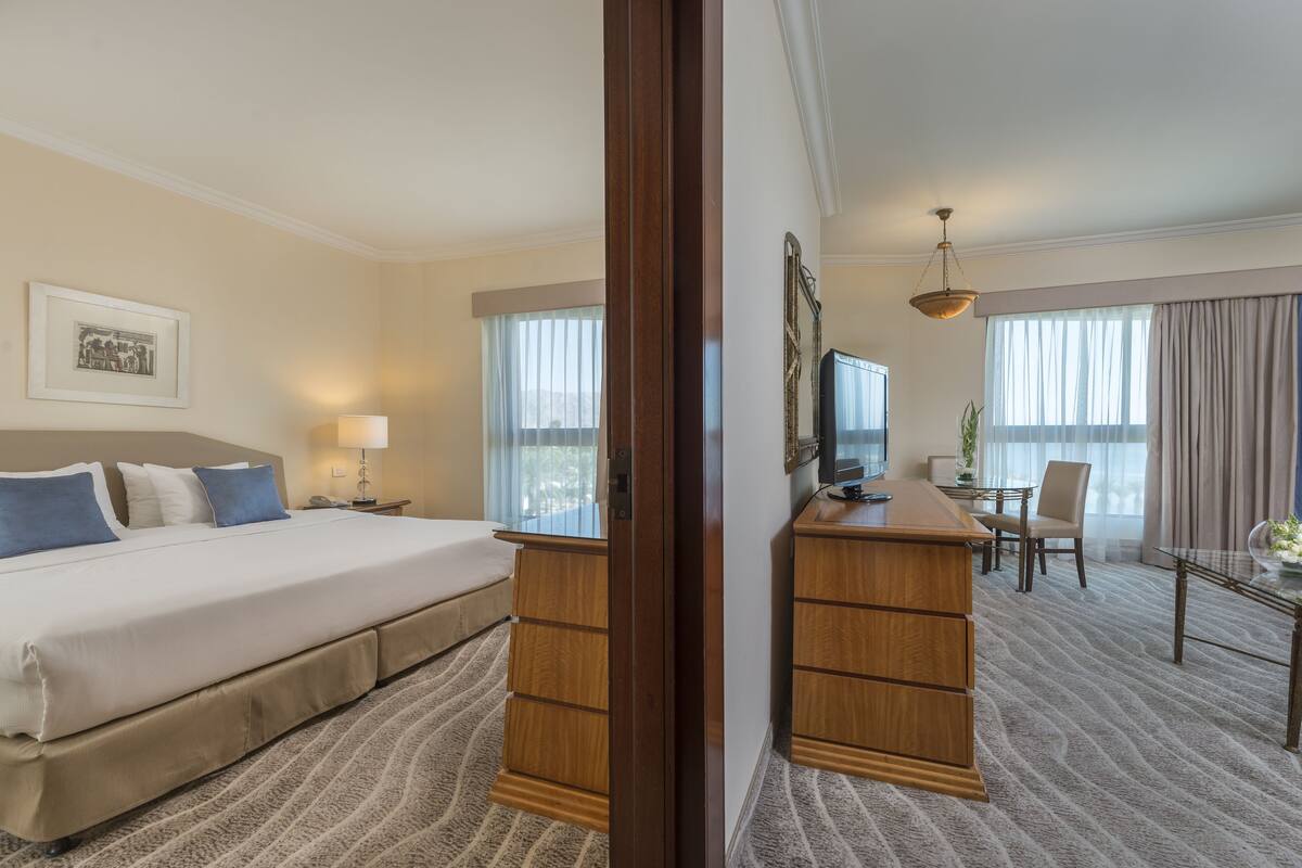 Habitación de hotel con una cama grande, un escritorio, un televisor y vistas al exterior.