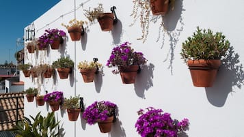 Terraza en la azotea