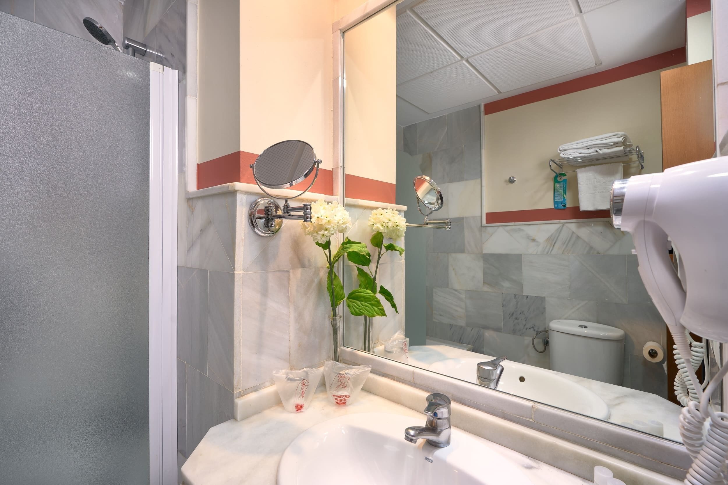 A bathroom with a white sink, a mirror, a handheld showerhead, and a hairdryer.