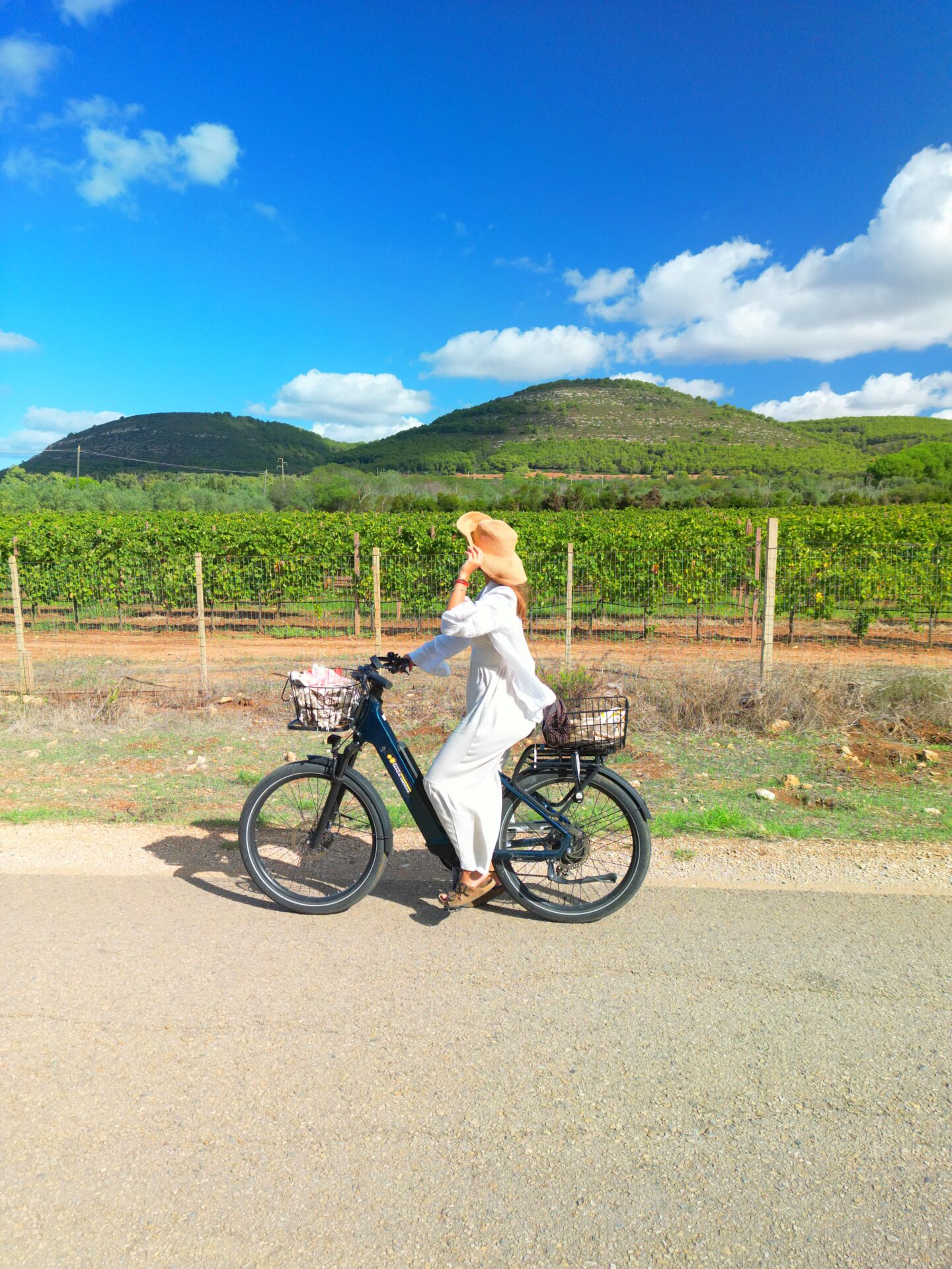 A person riding a bicycle with a basket on the back, passing by a vineyard with a hilly landscape in the background.