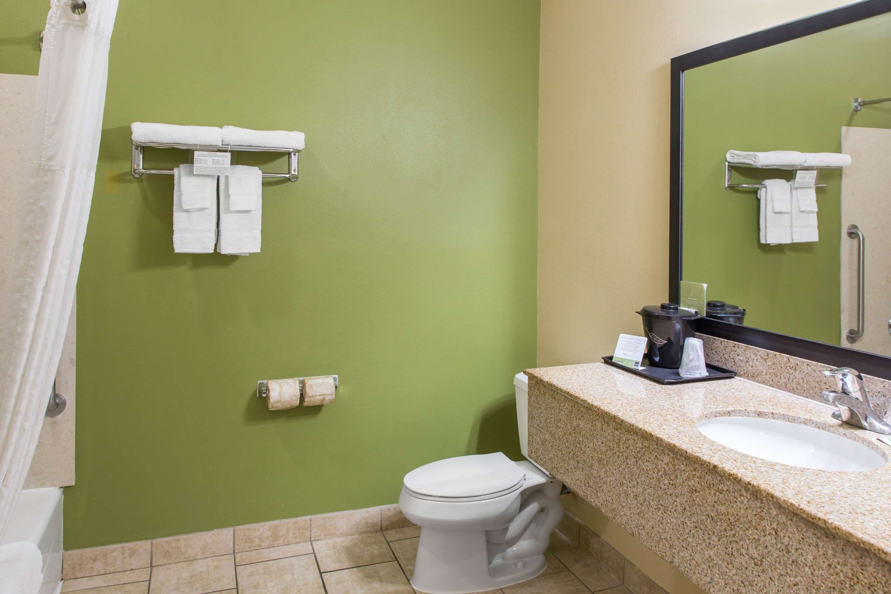 Un baño con pared verde, inodoro blanco y lavabo con espejo.