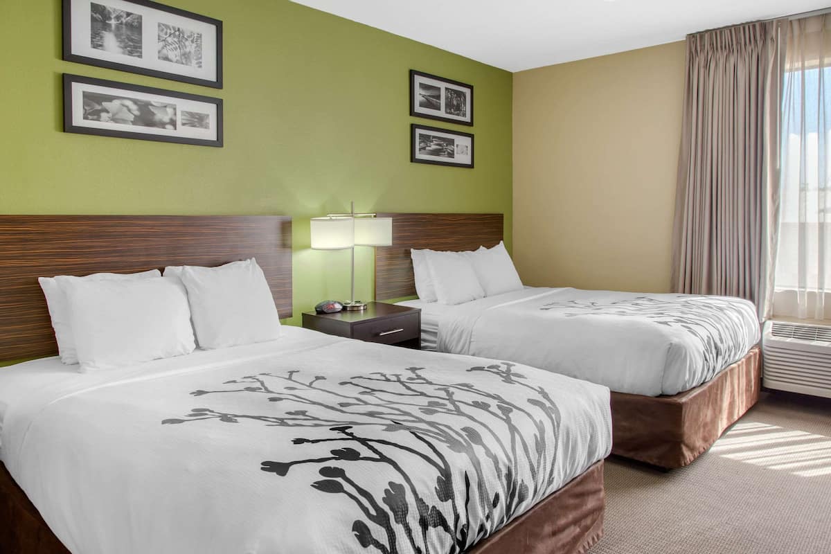 Habitación de hotel con dos camas, una mesita de noche, una lámpara y cuadros en la pared.