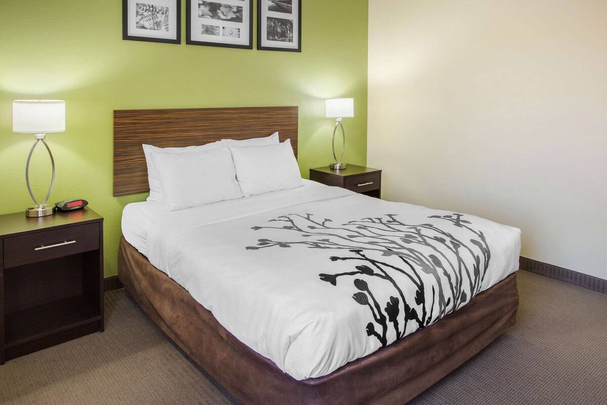 Una cama bien tendida con una colcha estampada, dos mesitas de noche con lámparas y una pared verde con cuadros enmarcados.