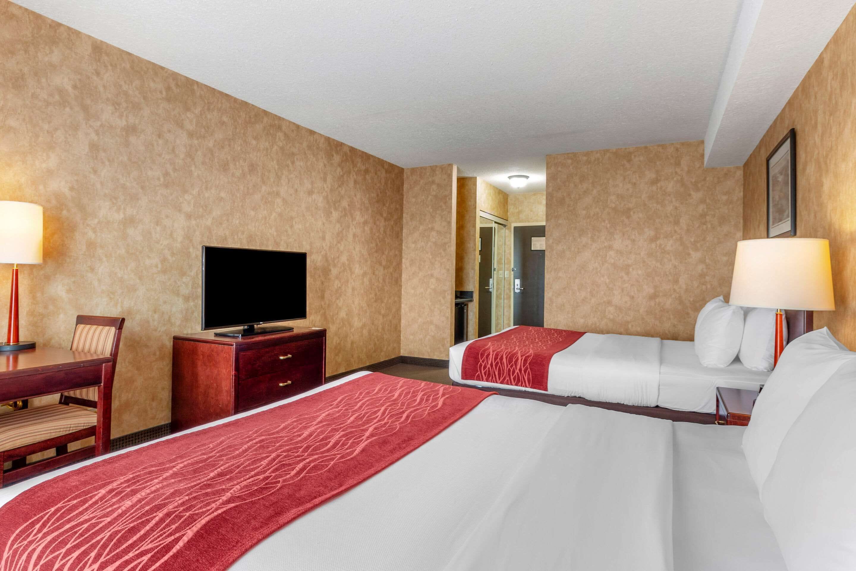 standard room, 2 queen beds, non smoking | premium bedding, pillow-top beds, desk, blackout curtains