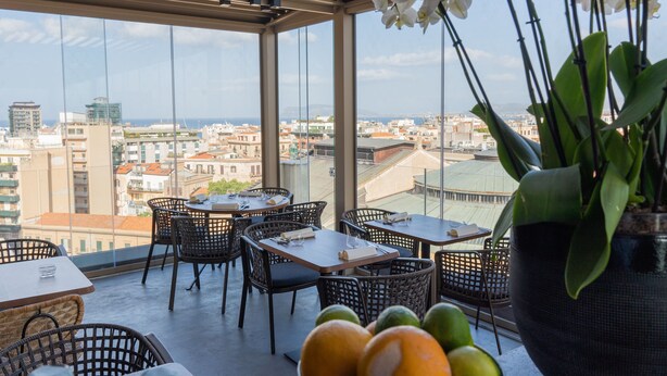 Una terraza con muebles de mimbre, una planta en maceta y vistas de la ciudad.