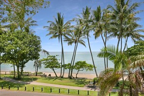 On the beach, white sand - Alassio Palm Cove (Palm Cove)