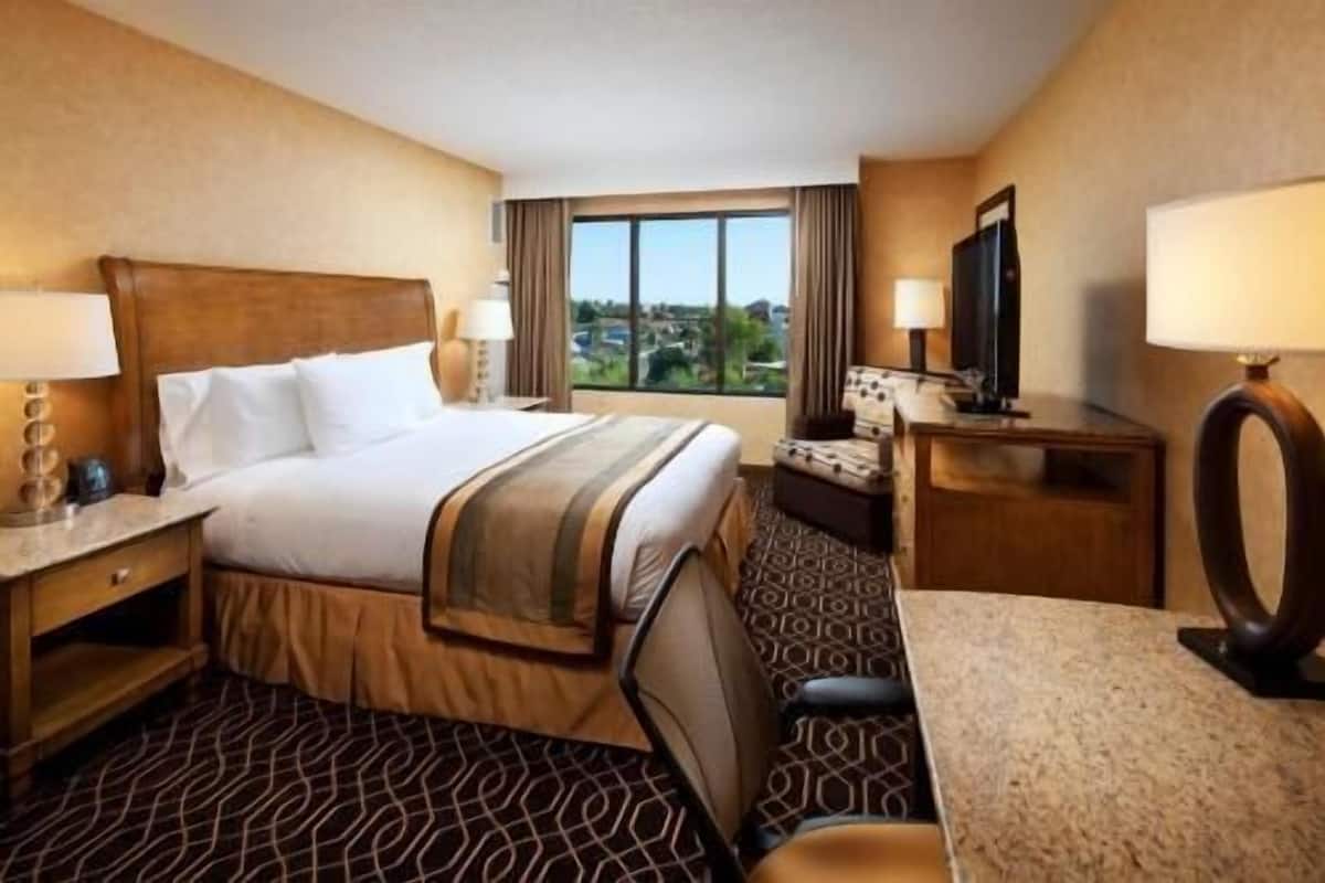 A hotel room with a bed, a desk, a chair, a TV, and a window with a view.