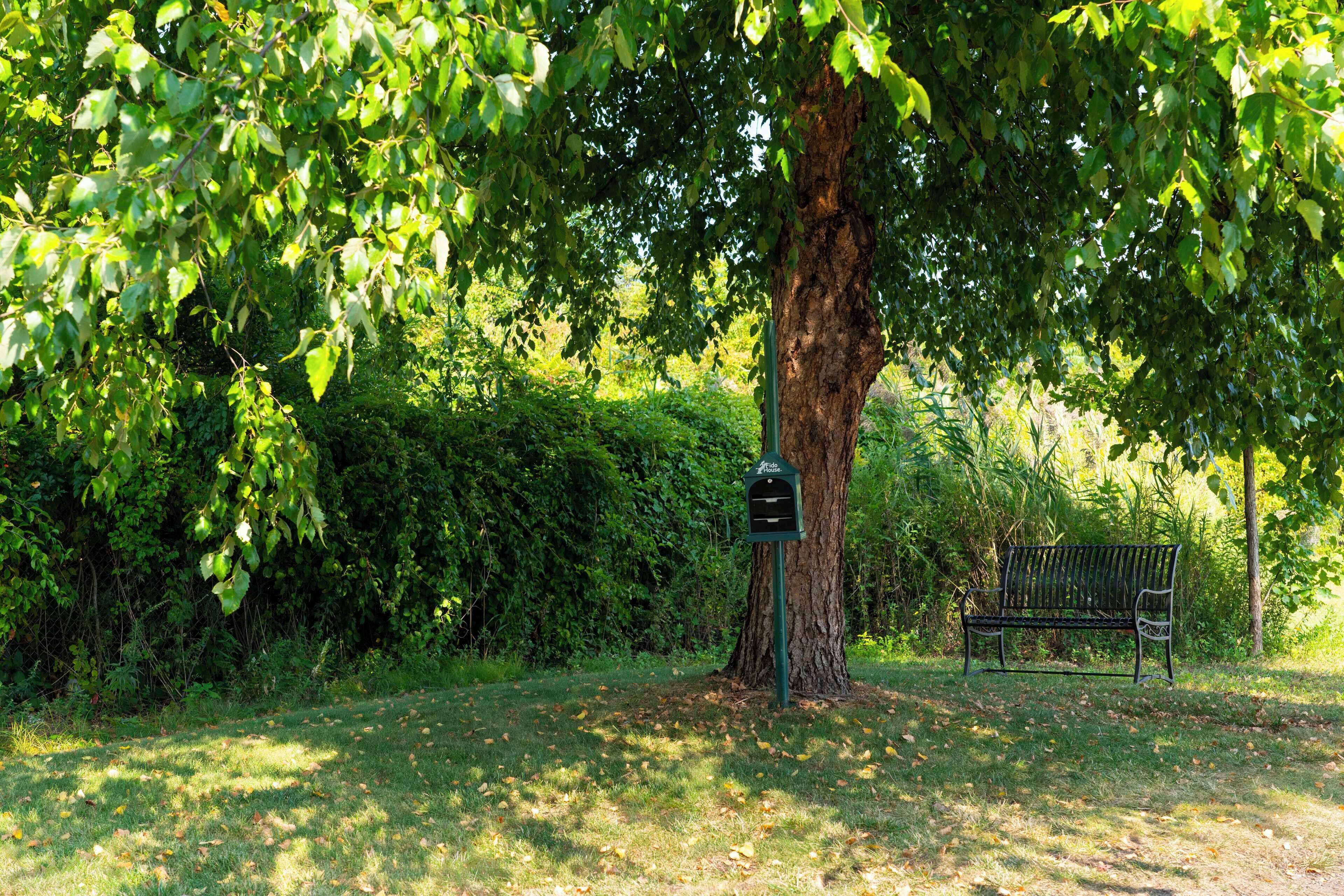 Eine Parkbank unter einem großen Baum mit einem Briefkasten.