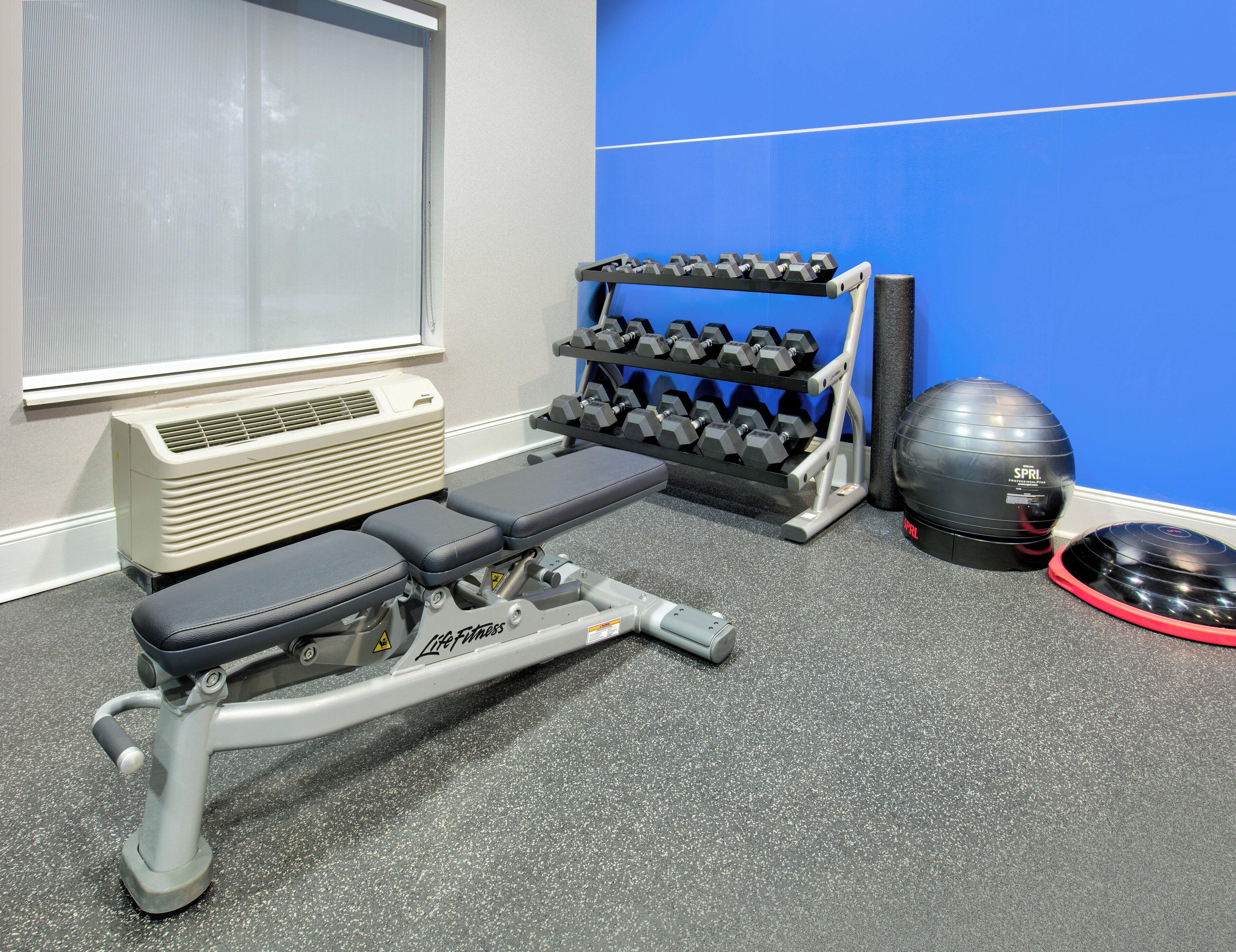 A gym with a bench, dumbbells, a medicine ball, and a wall-mounted rack.