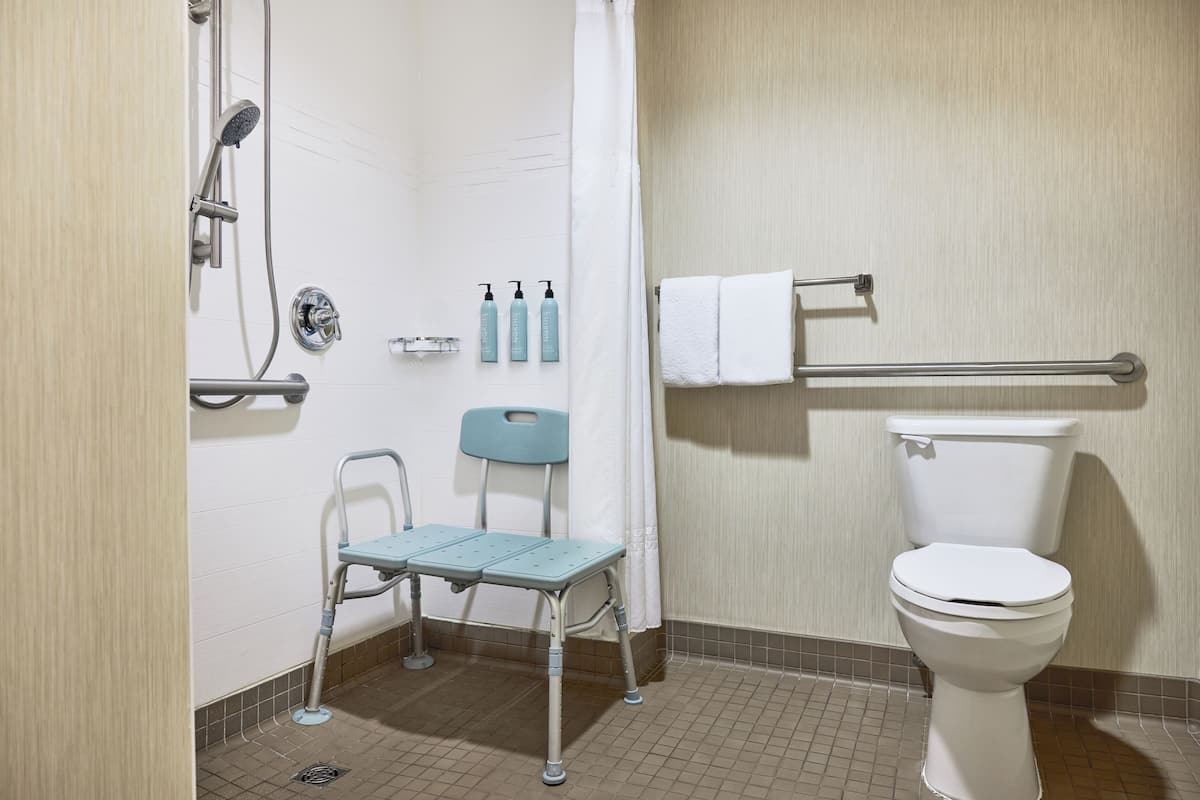 Room, 1 Bedroom (Mobility Accessible, Roll-in Shower) | Bathroom