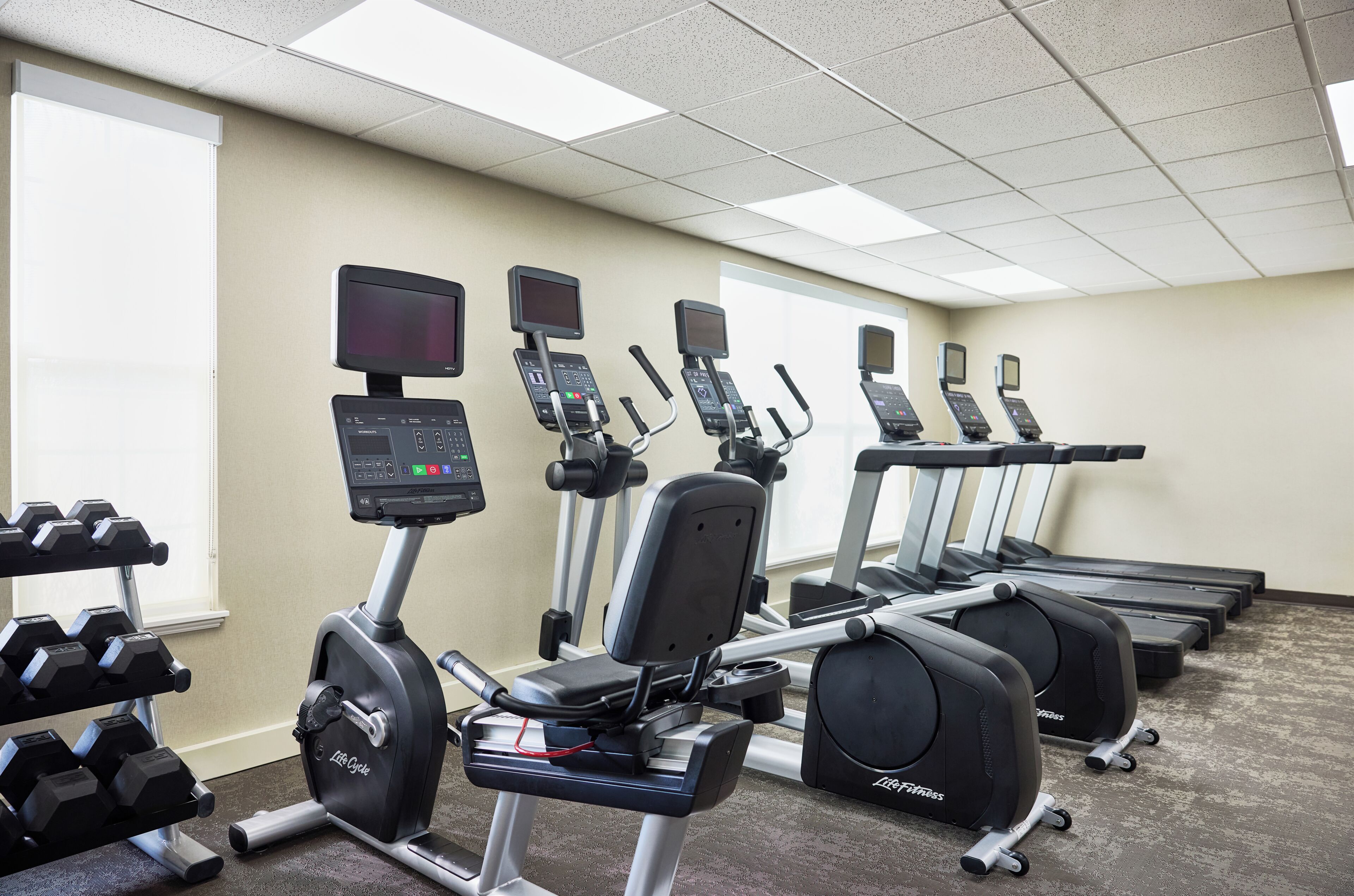 A gym with multiple treadmills, ellipticals, and dumbbells.