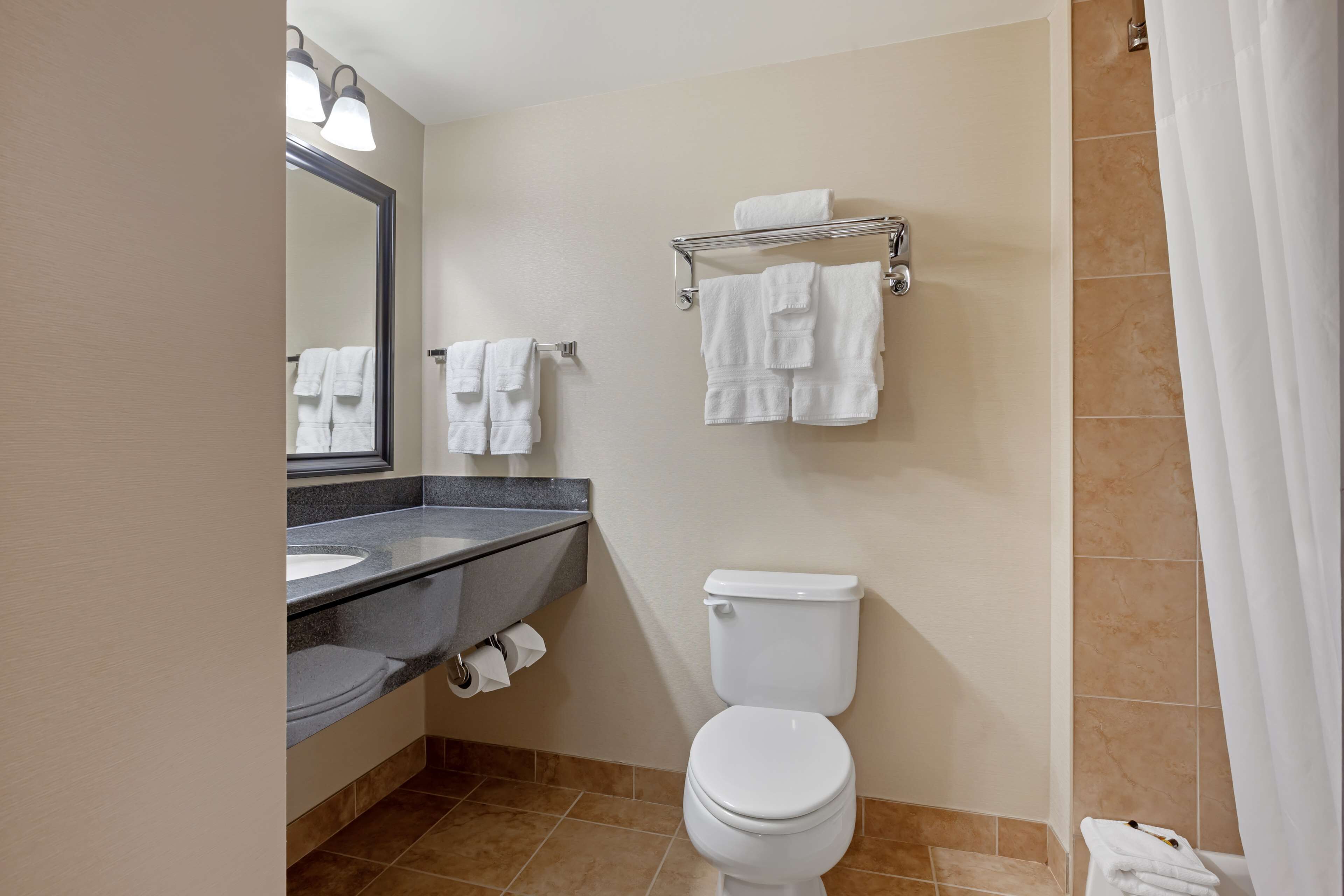 suite, 1 king bed, non smoking, jetted tub | bathroom | free toiletries, hair dryer, towels