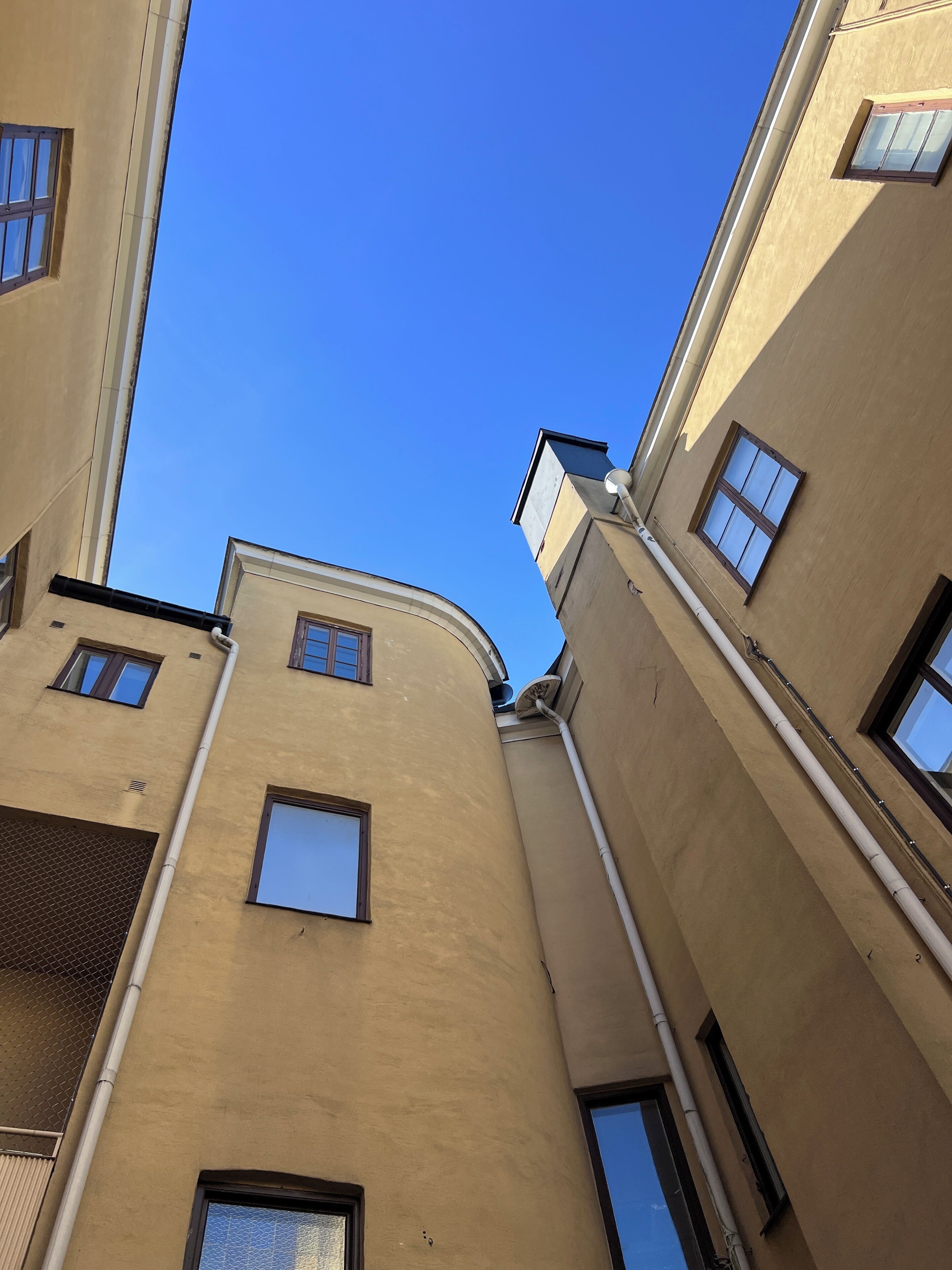 family room | courtyard view
