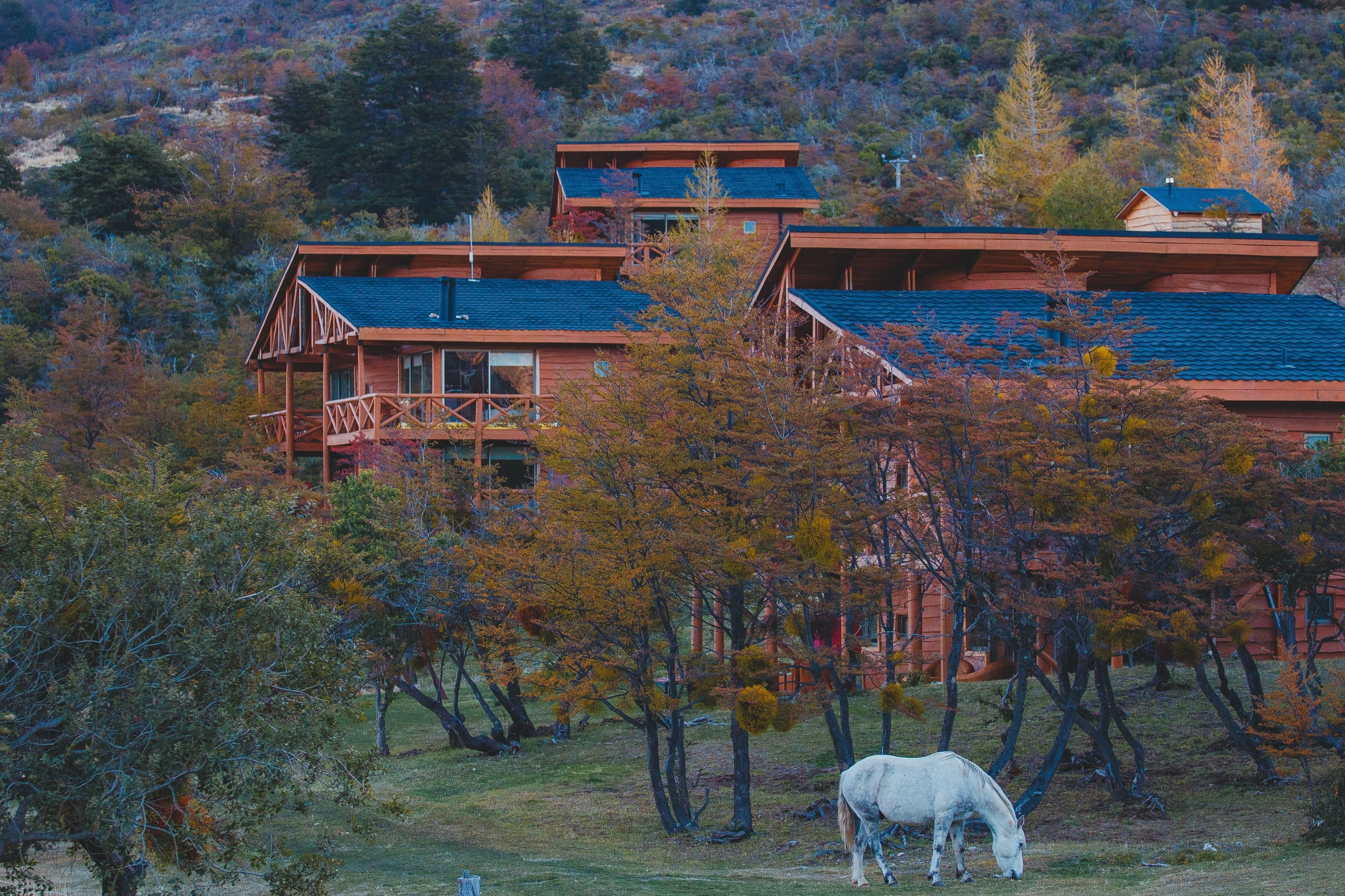 A multi-story building with a wooden exterior and blue roofing, surrounded by autumn-colored trees and a grazing horse.