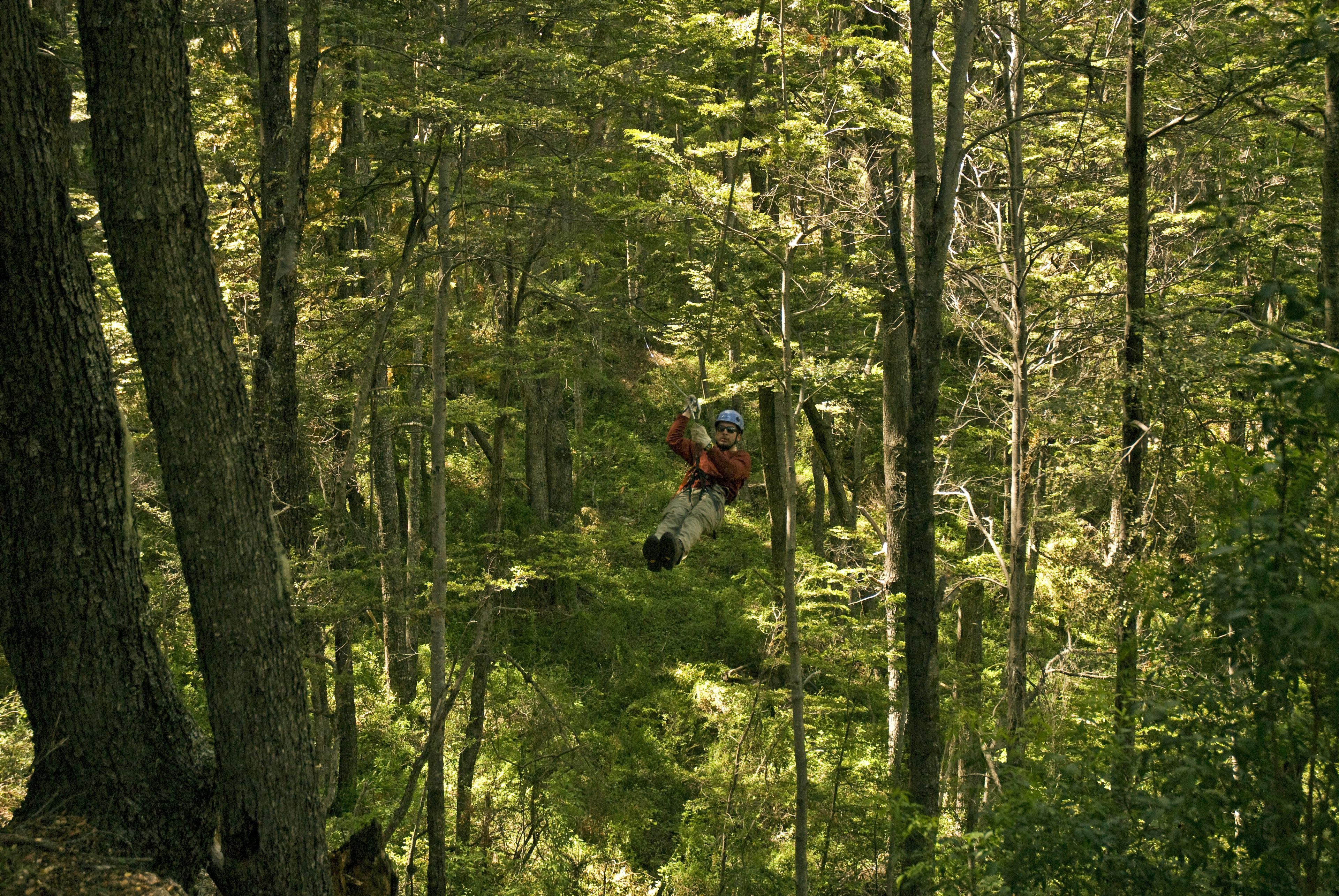 A person suspended in mid-air, likely engaged in a zip-lining activity, surrounded by dense forest with tall trees.