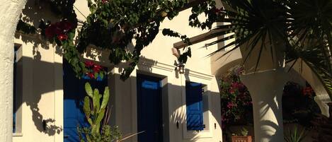 A building with a white facade, blue shutters, and a cactus plant in a terracotta pot.