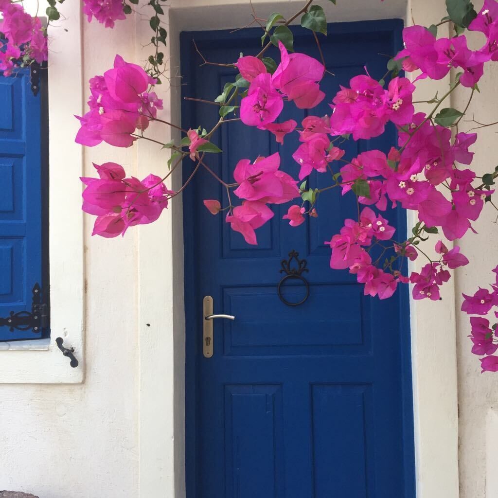 honeymoon suite | view from room