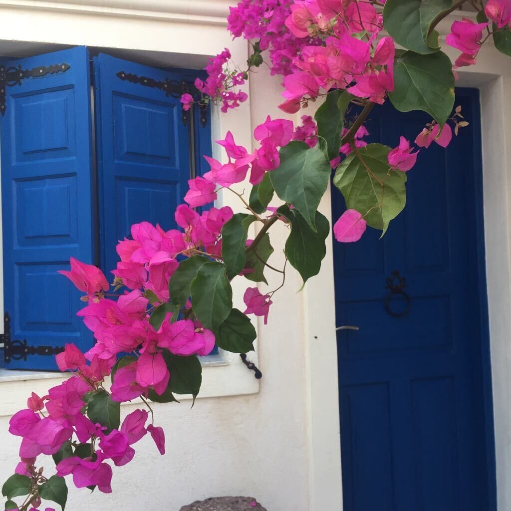 honeymoon suite | view from room