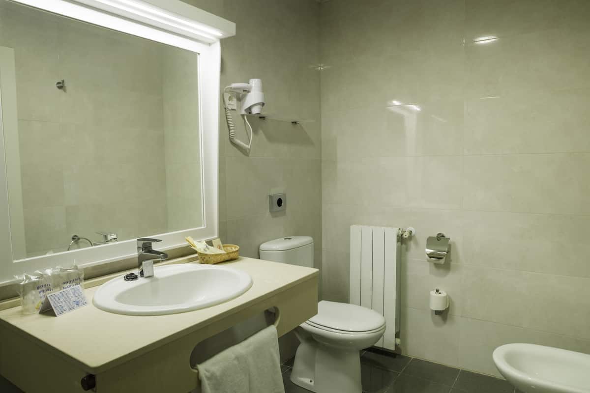 combined shower/bathtub, free toiletries, hair dryer, towels