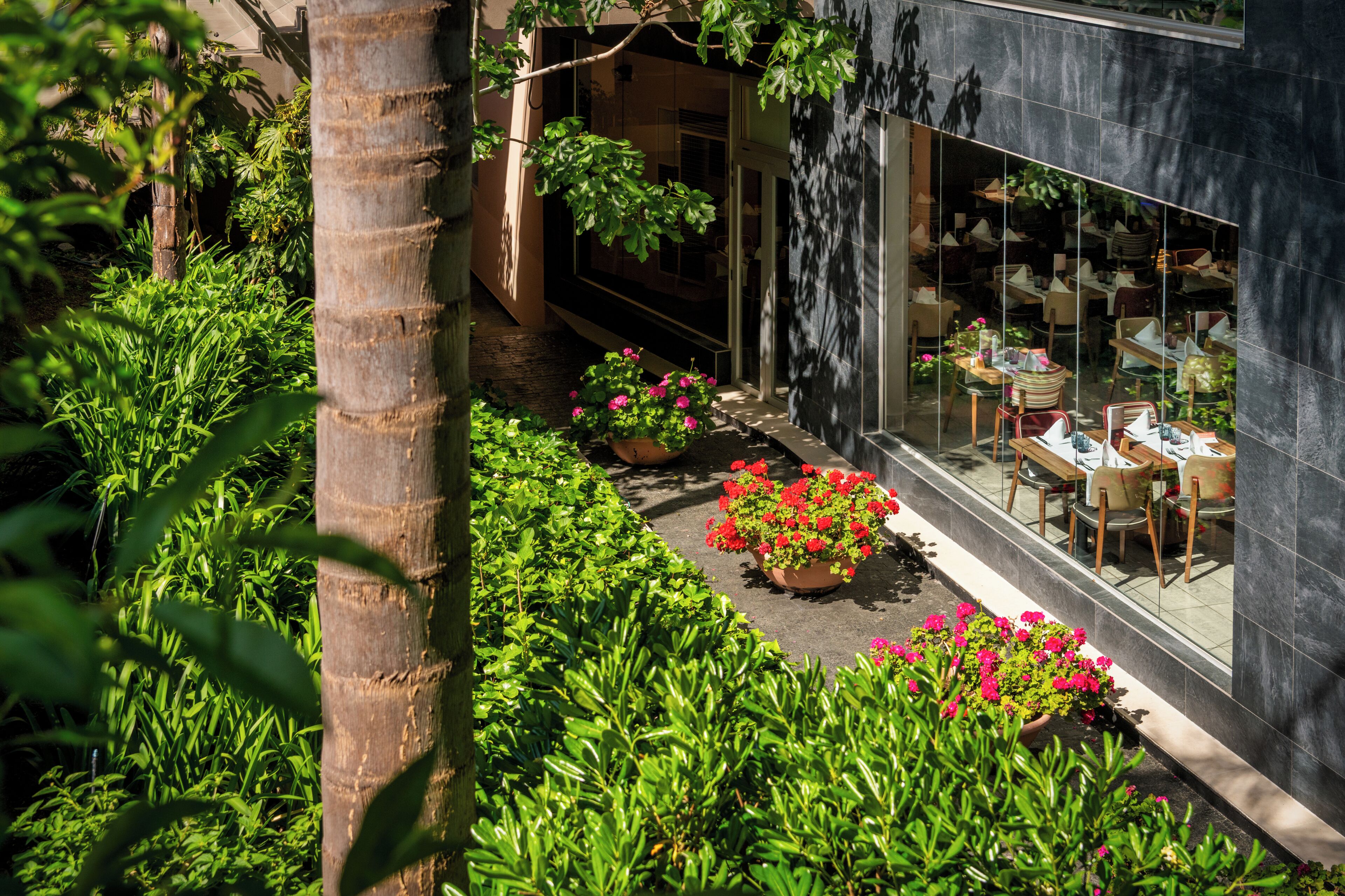 A courtyard with potted plants and a seating area with tables and chairs.