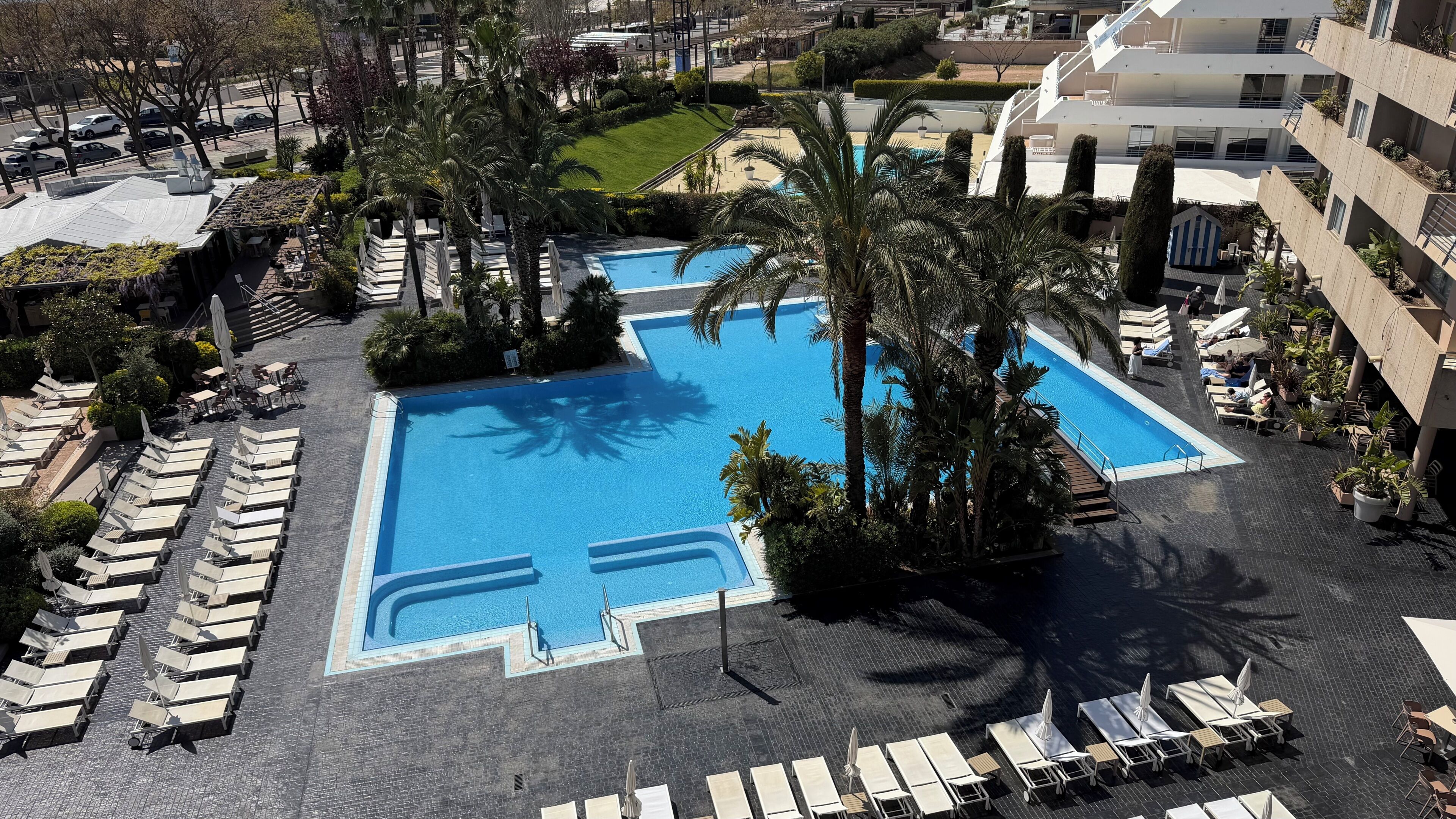 A rooftop pool with sun loungers and palm trees.