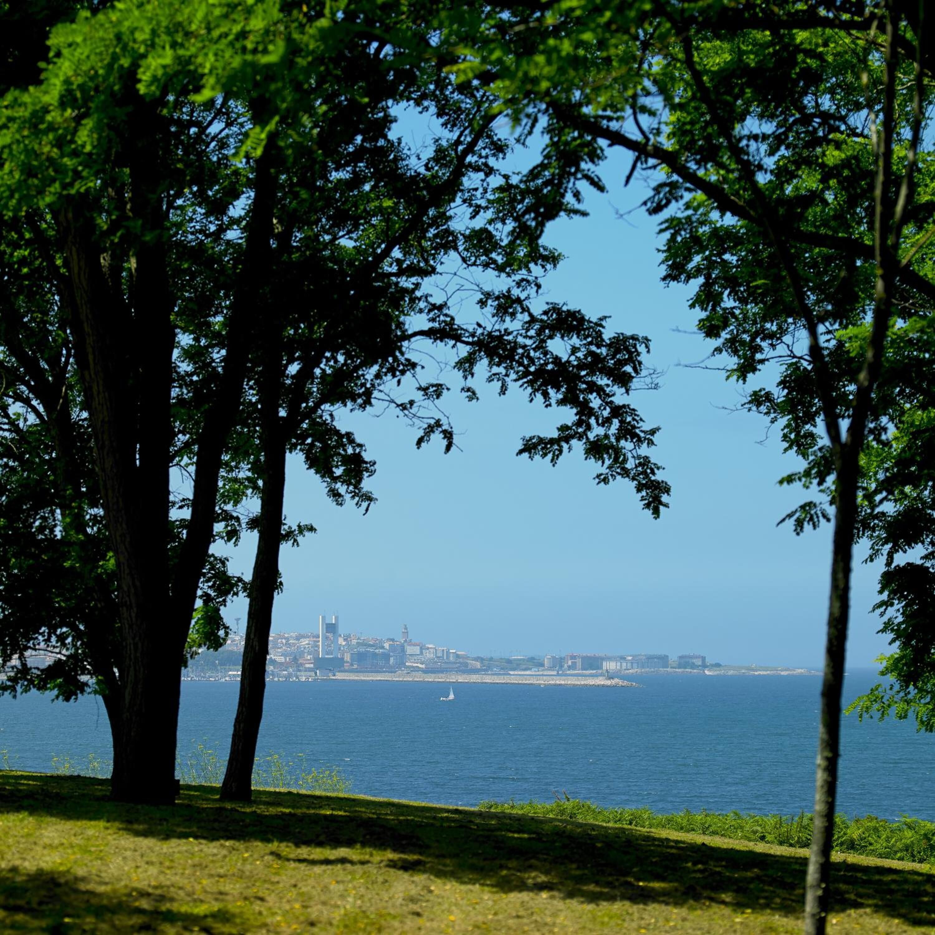 Un parc avec des arbres et une vue sur les gratte-ciel d’une ville, séparée par une étendue d’eau.