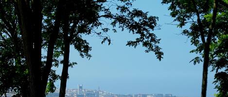 A park with trees and a view of a city skyline across a body of water.