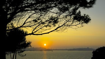 Una spiaggia nelle vicinanze