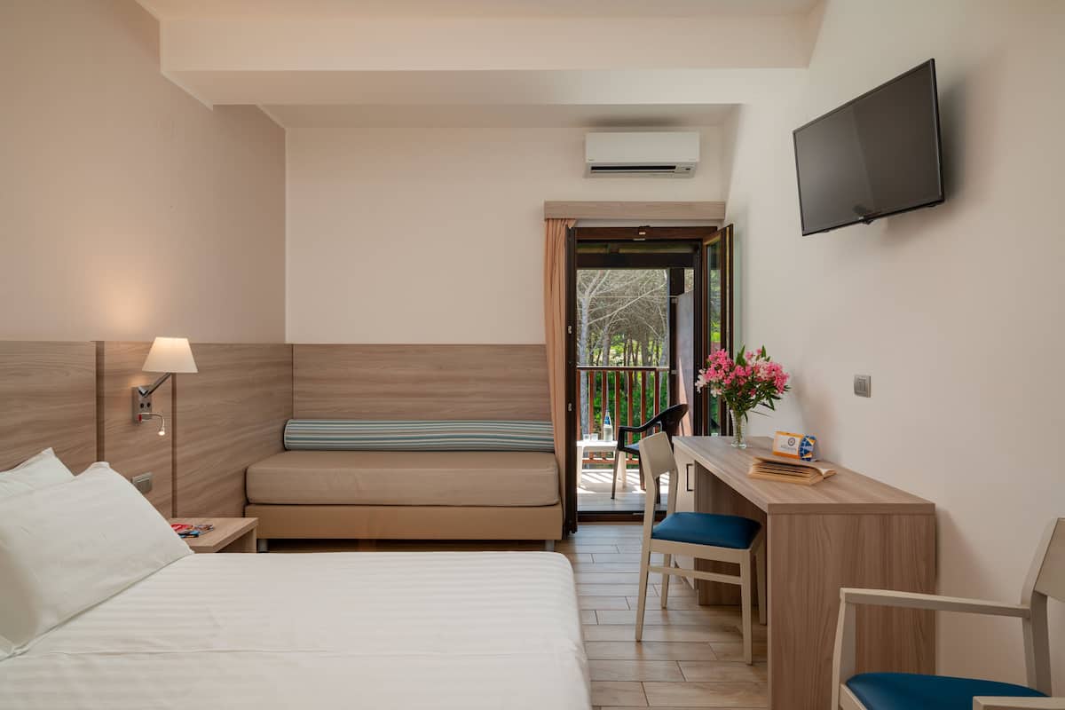 A hotel room with a bed, a desk with a chair, a TV, and a balcony with flowers.