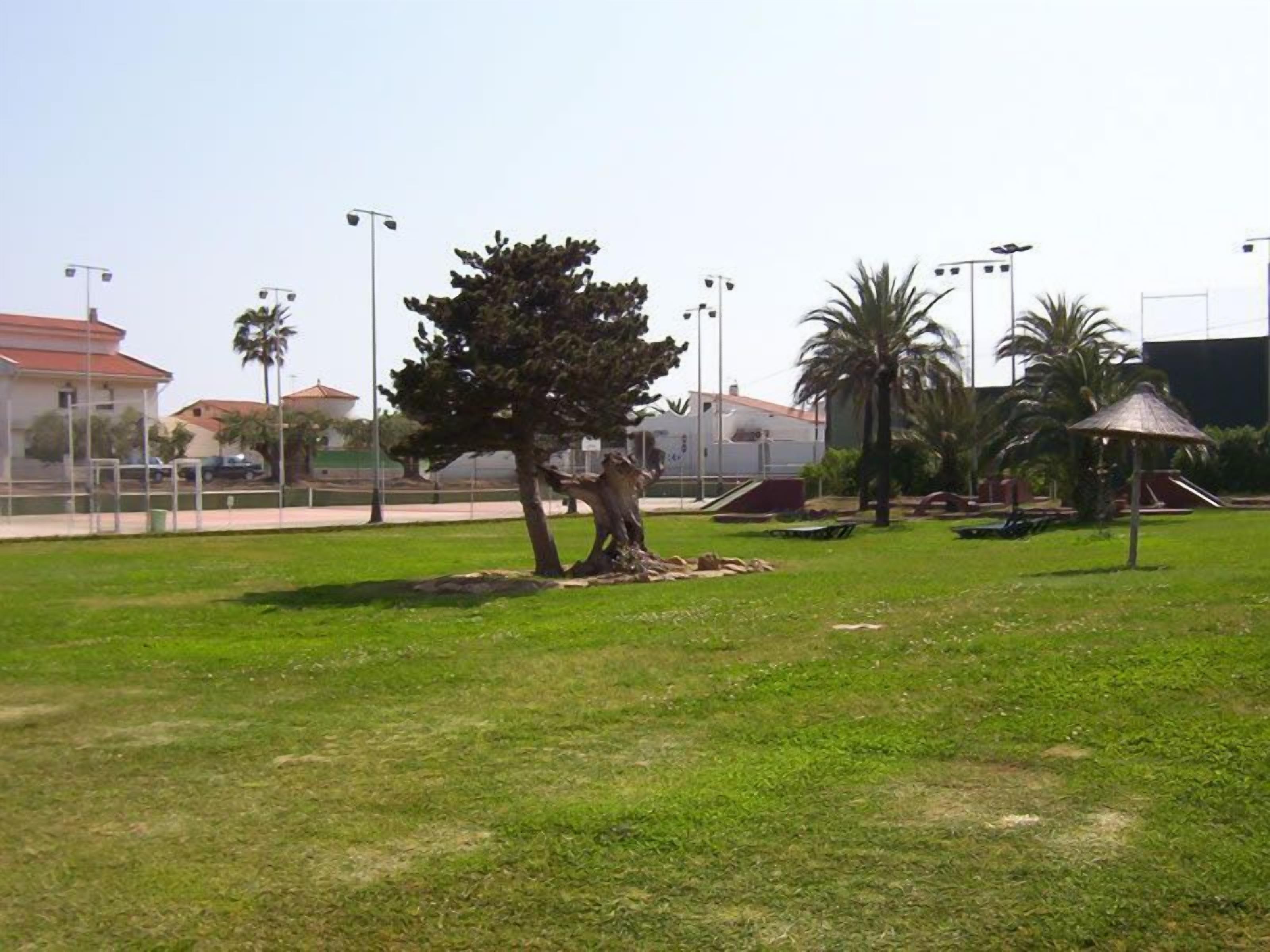 A grassy area with a tree, a small pavilion, and a building in the background.