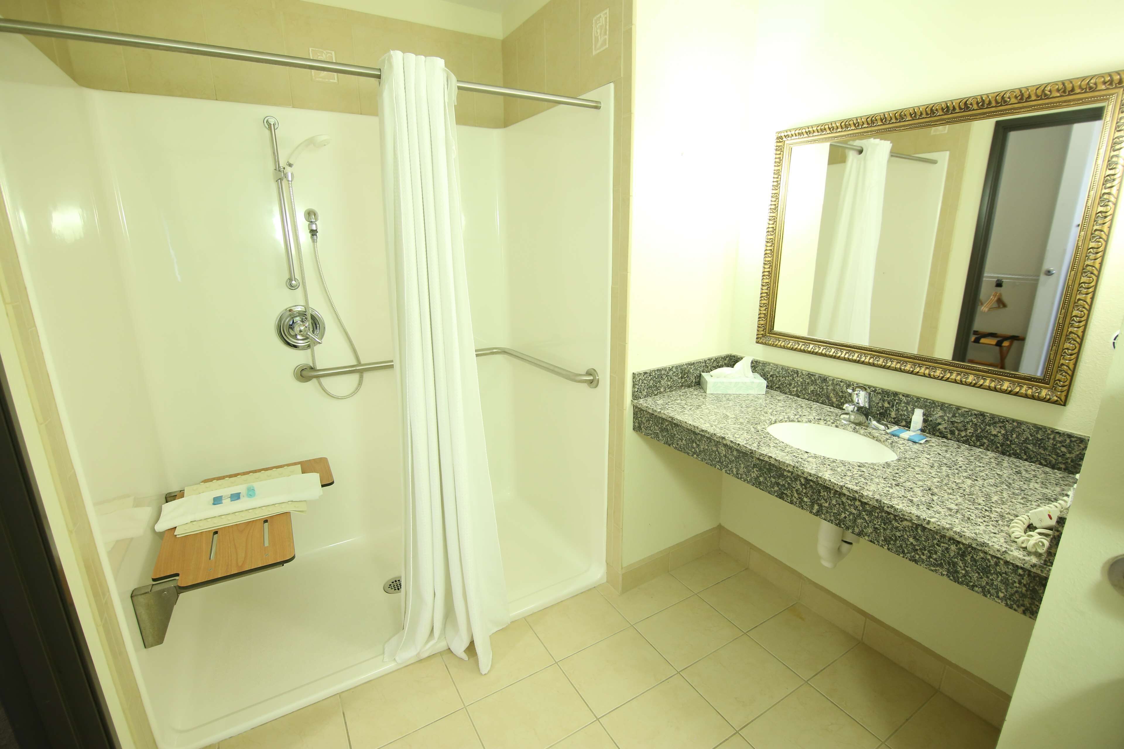 standard room, 1 queen bed, accessible, non smoking | bathroom | combined shower/bathtub, free toiletries, hair dryer, towels