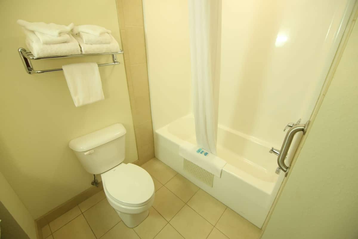 combined shower/bathtub, free toiletries, hair dryer, towels