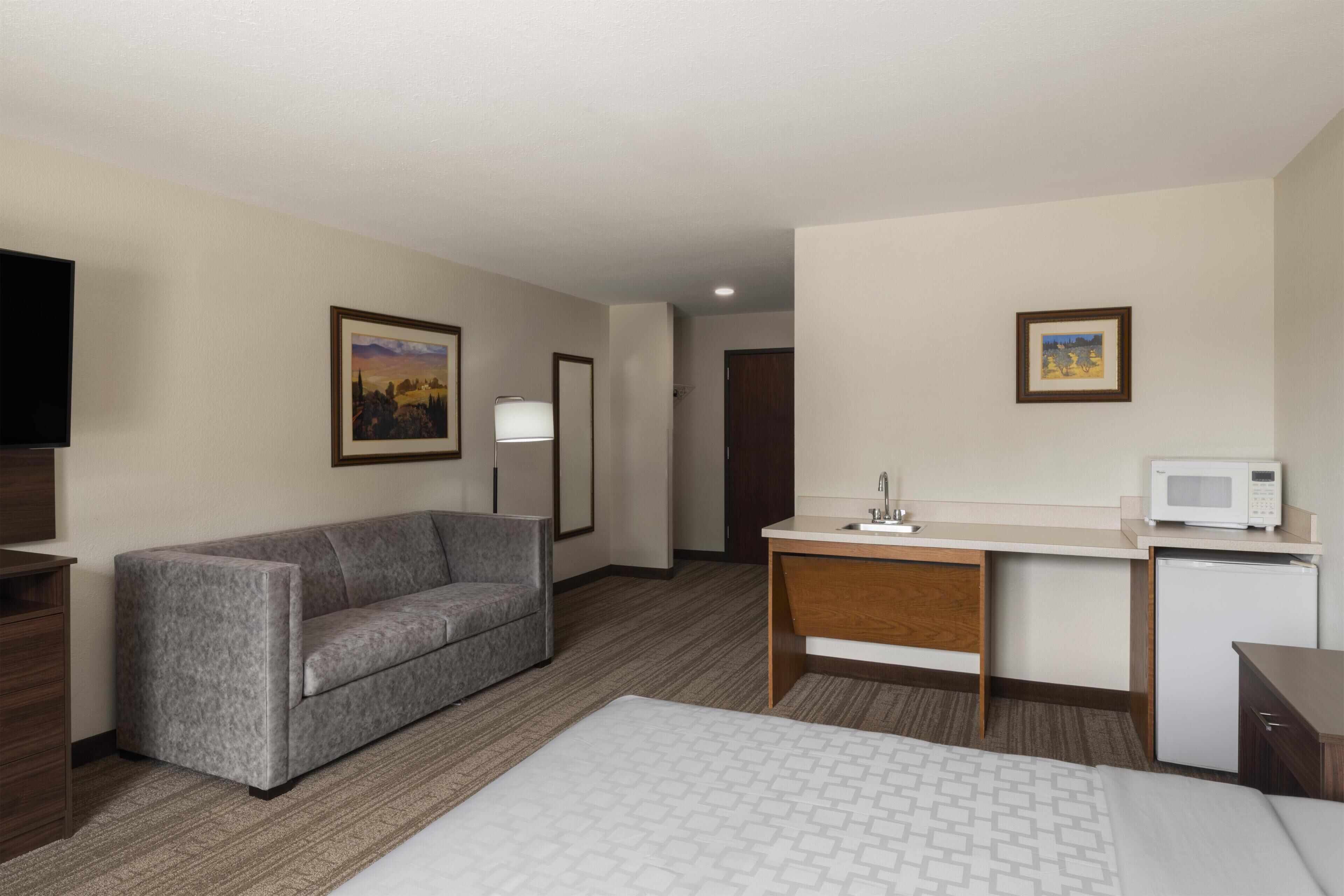 Hotelkamer met een bed, een slaapbank, een bureau met een magnetron, een televisie en foto's in lijsten aan de muren.