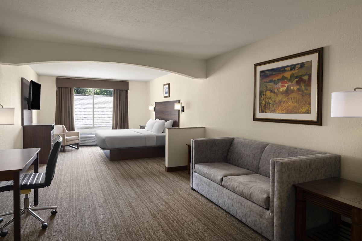 Suite, 1 King Bed, Non Smoking, Refrigerator & Microwave (with Sofabed) | Desk, blackout drapes, iron/ironing board, rollaway beds (surcharge)