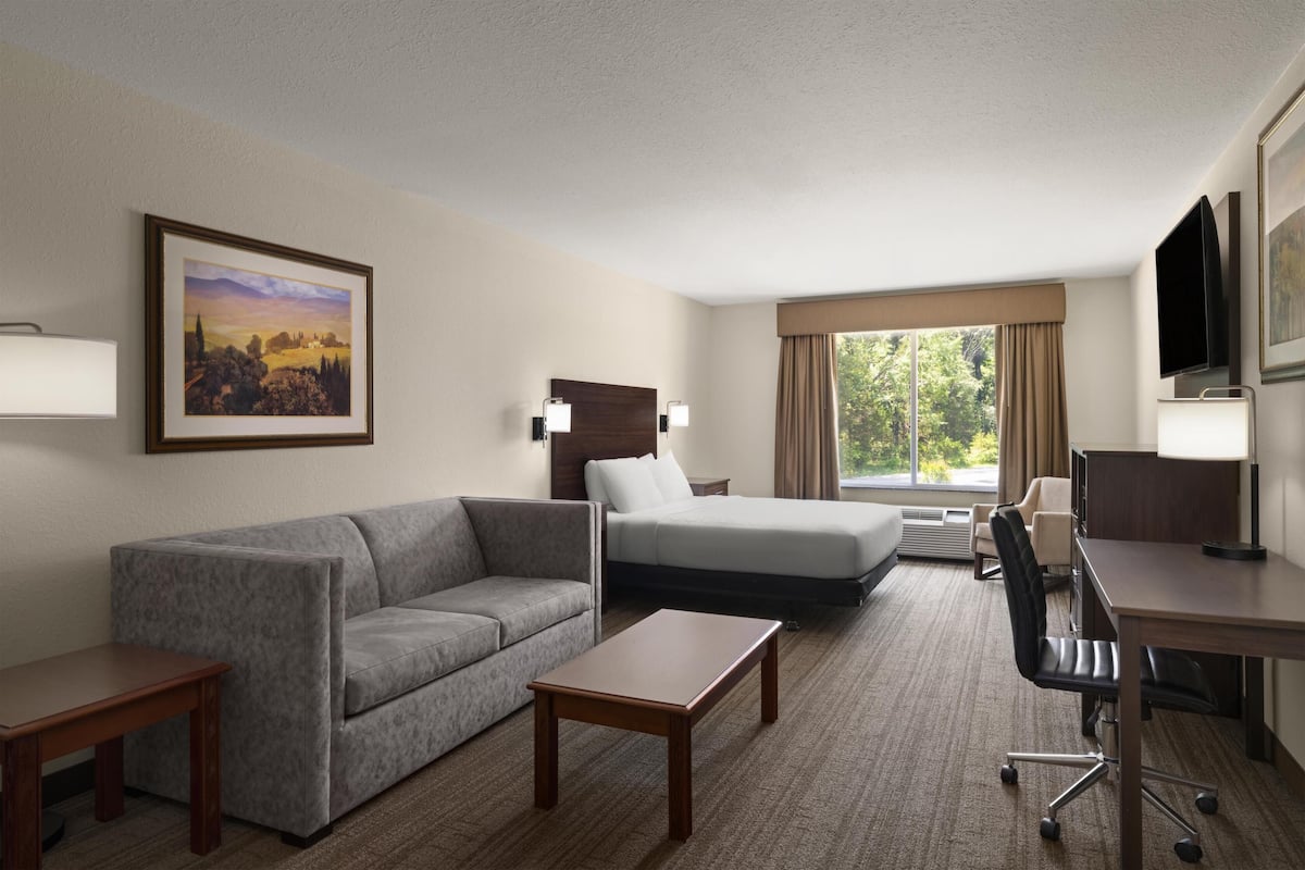Standard Room, 1 Queen Bed, Accessible, Bathtub | Desk, blackout drapes, iron/ironing board, rollaway beds (surcharge)