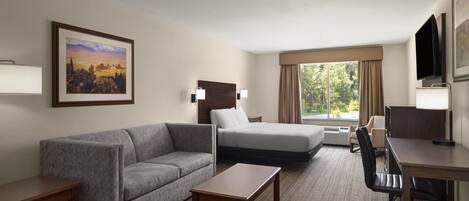 A hotel room with a sofa, bed, desk, and TV.