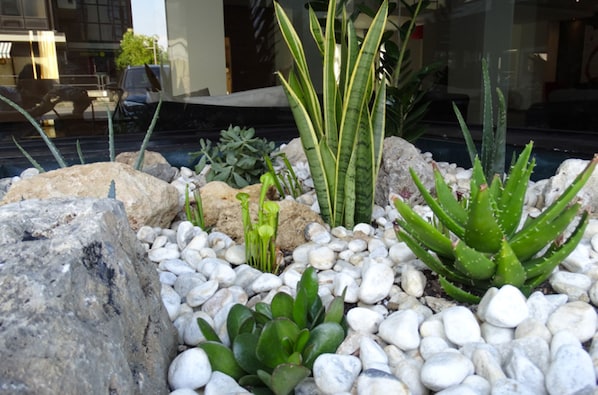 Jardim
