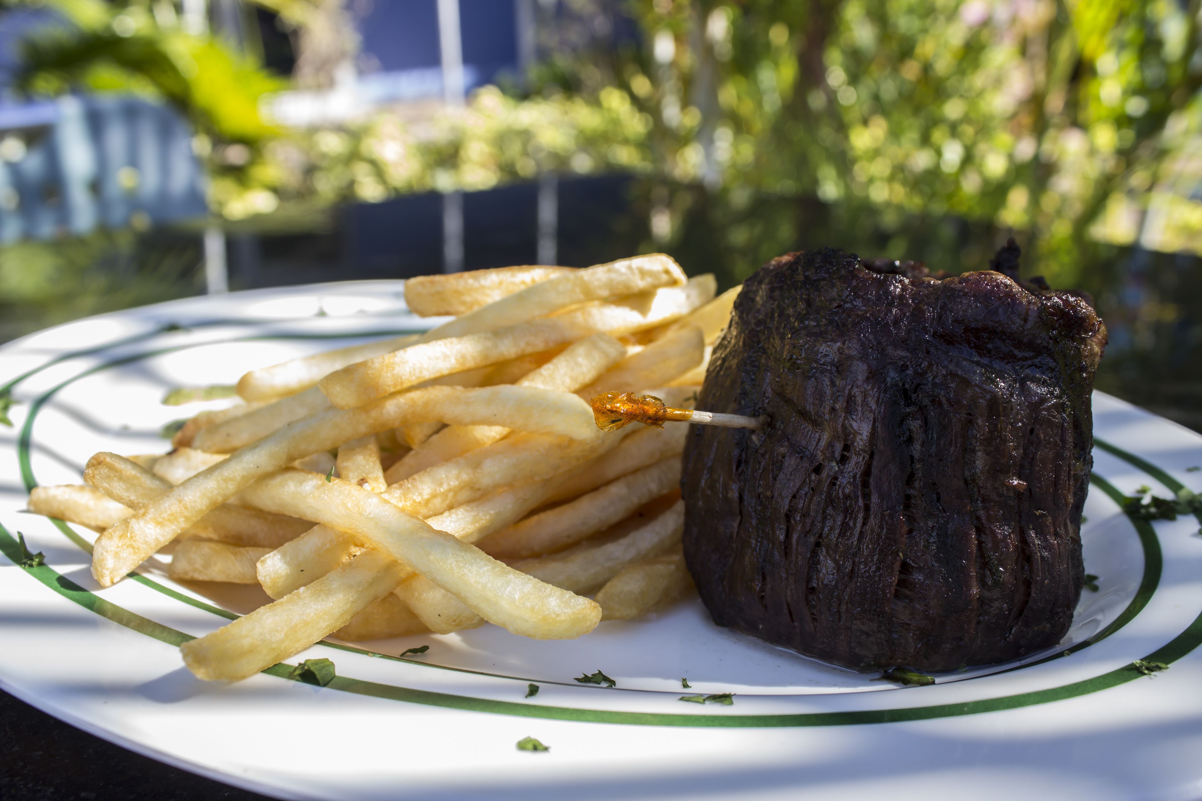A plate with a grilled meat and French fries.