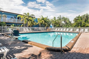 Outdoor pool, pool umbrellas, pool loungers