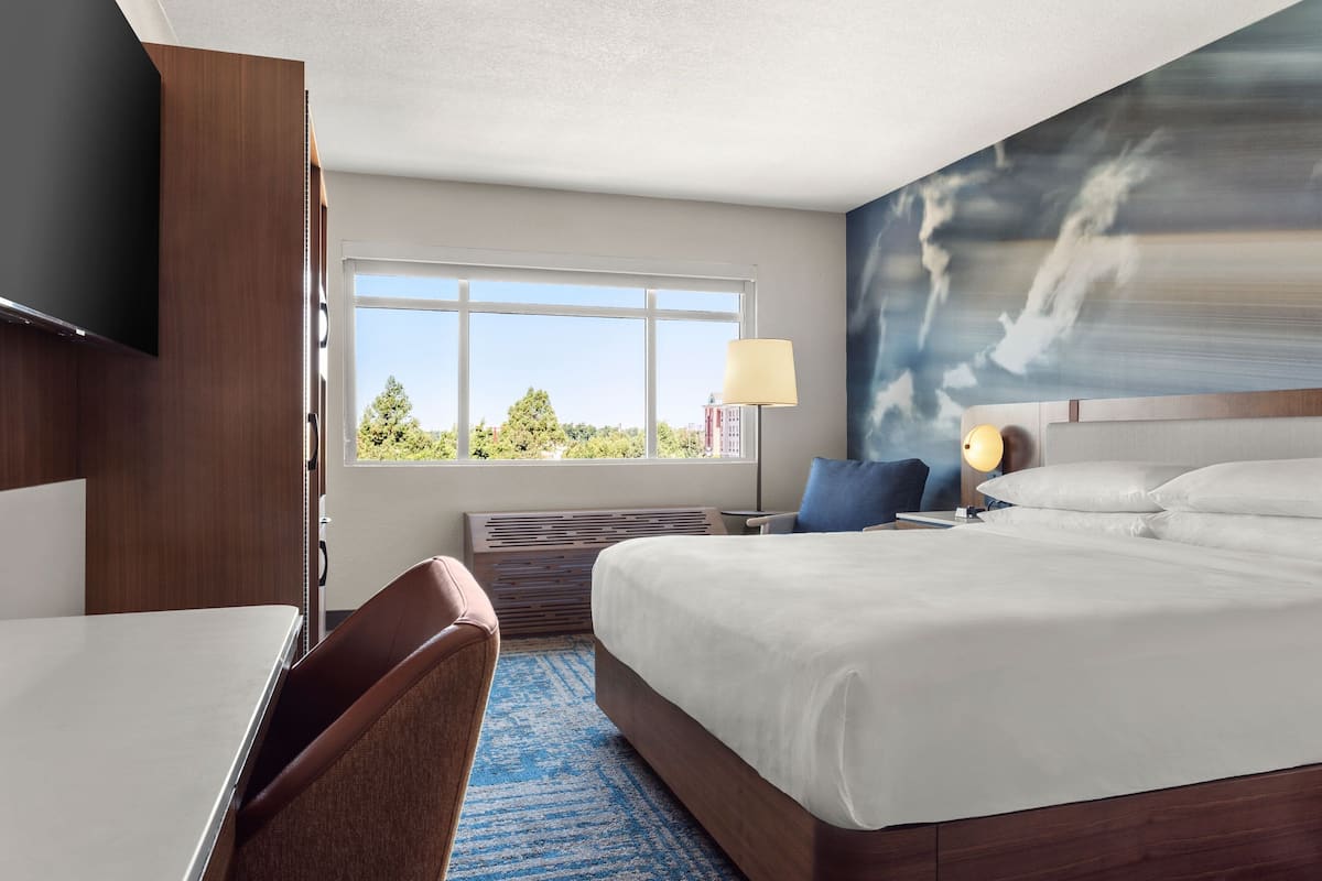 Habitación de hotel con una cama grande, un escritorio, una silla, un televisor, una ventana con vistas a  árboles y un cuadro en la pared.