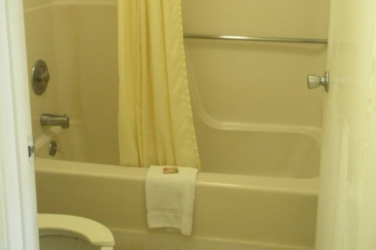 A bathroom with a toilet, bathtub, and shower curtain.