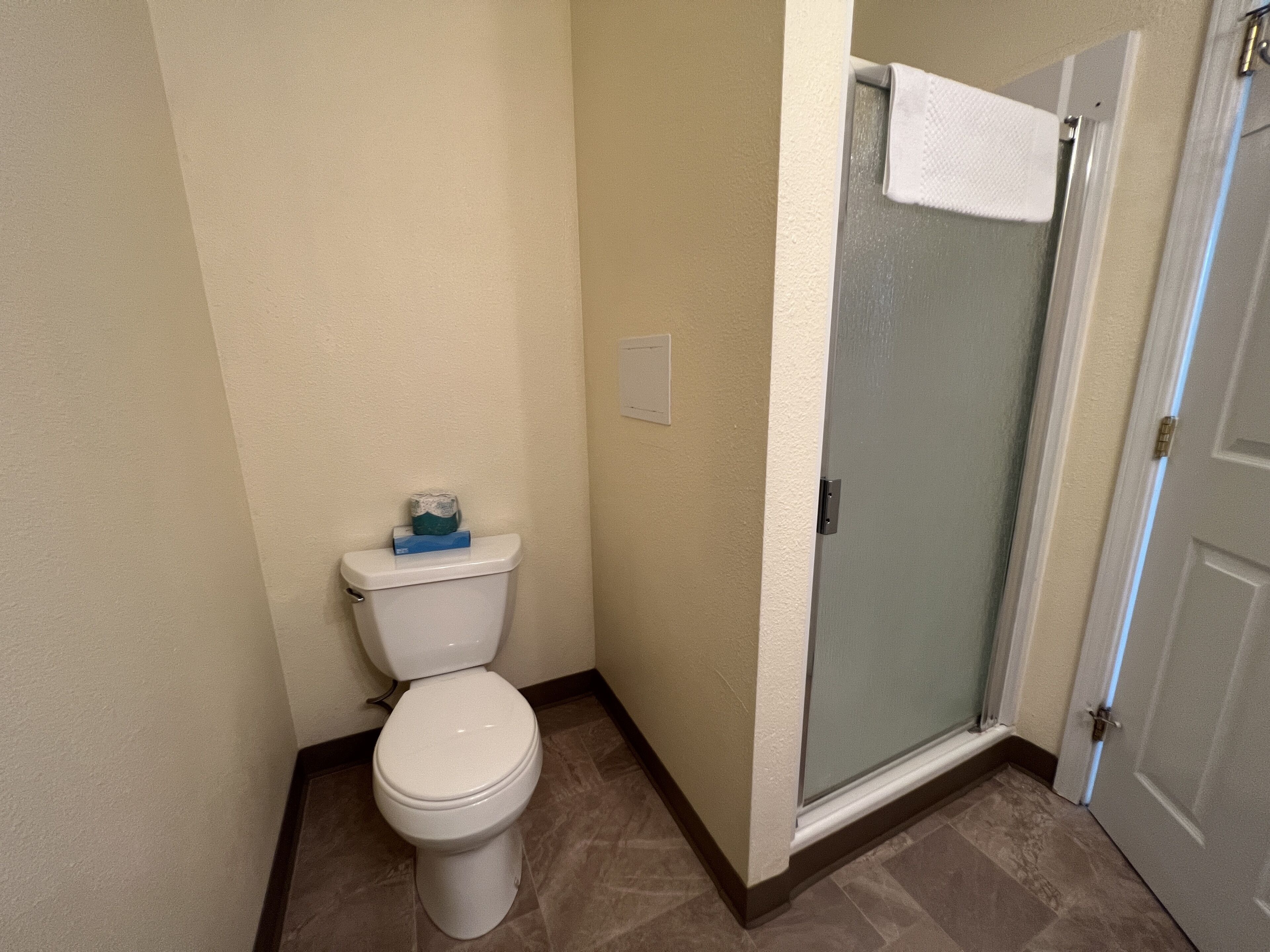 A bathroom with a toilet, a shower, and a door.