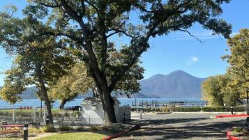 A park with a large tree, a playground, and a view of a lake and mountains.