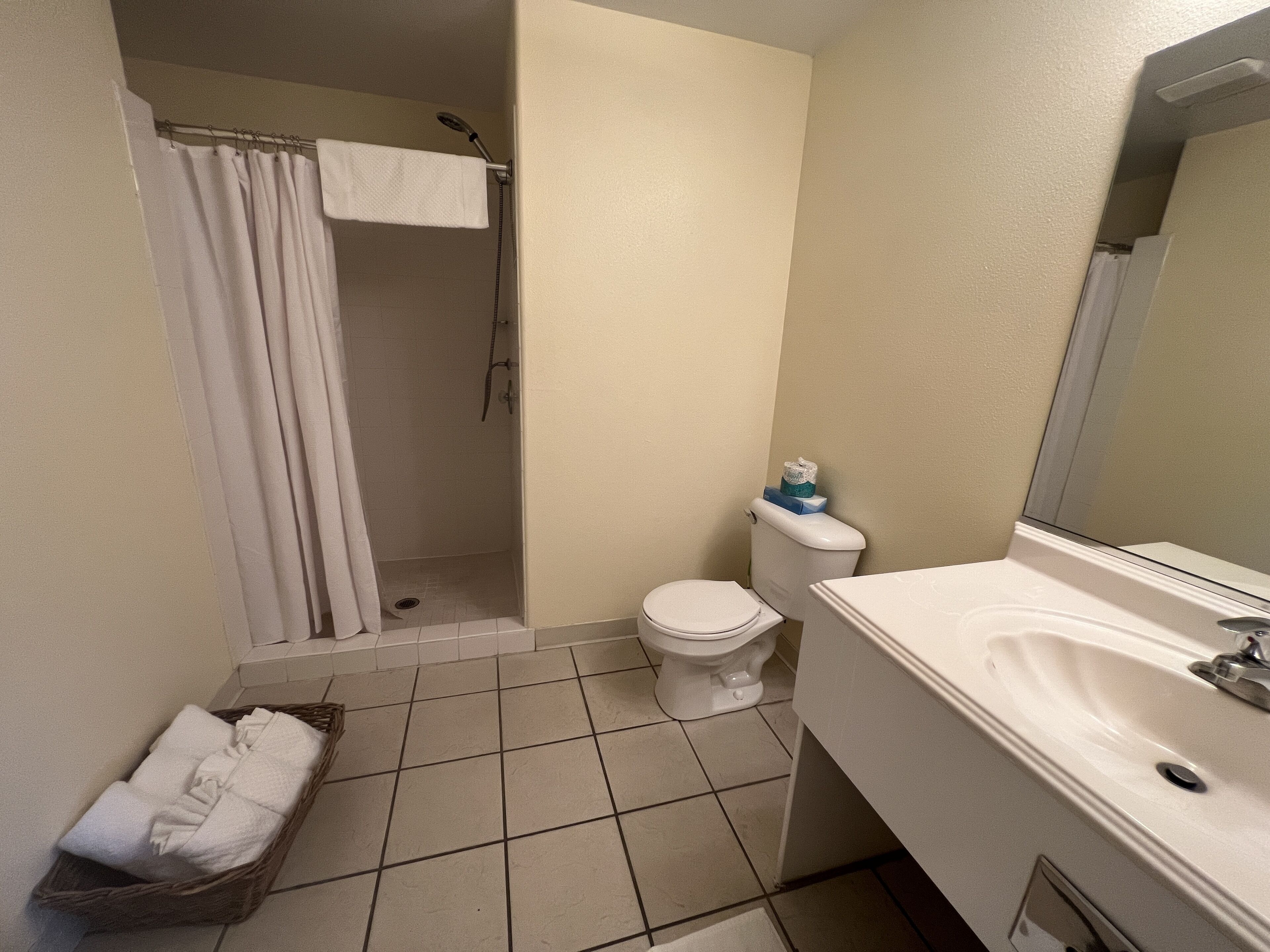 A bathroom with a shower, toilet, and sink.
