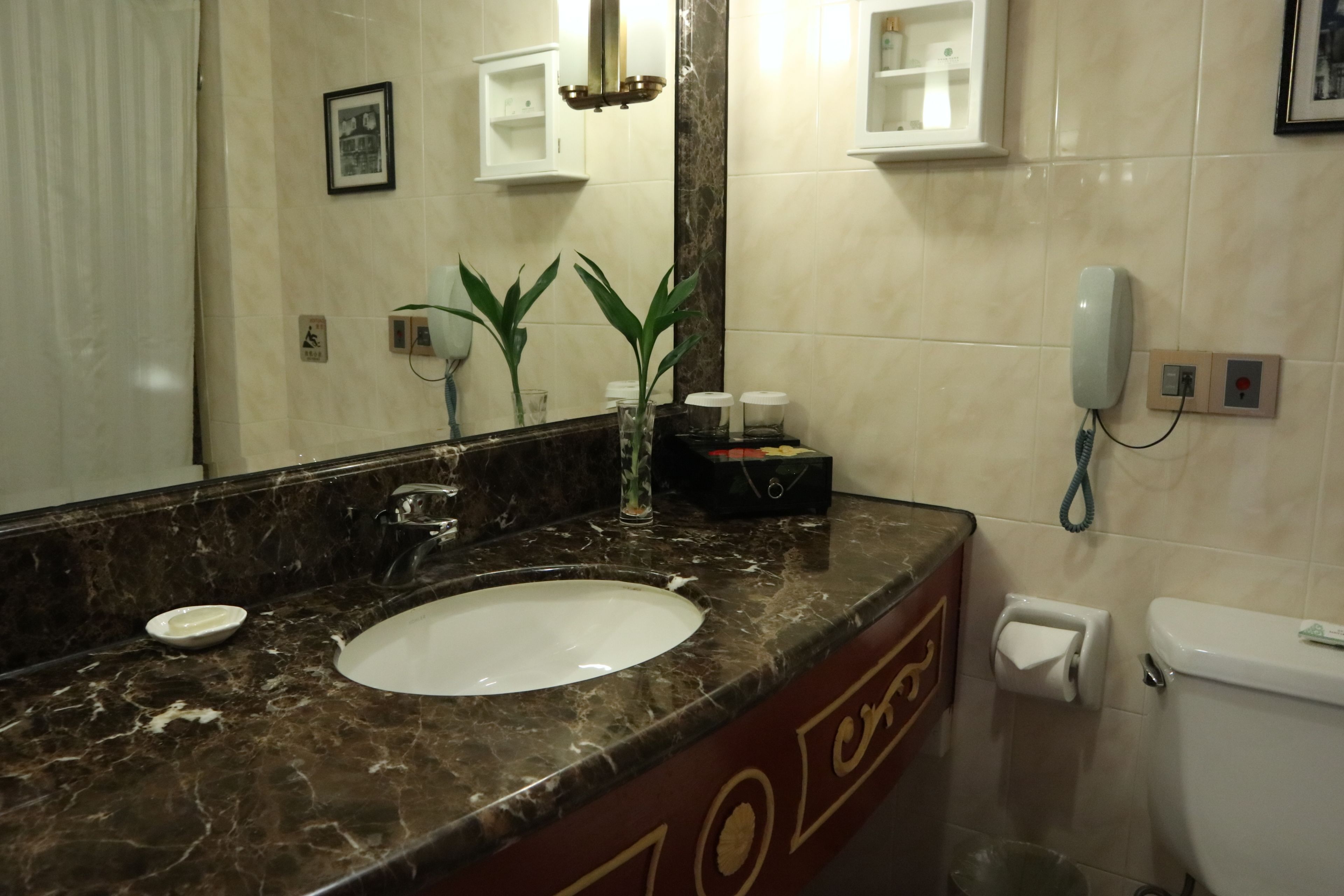 A bathroom with a marble sink, two potted plants, a mirror, a toilet, and a telephone.